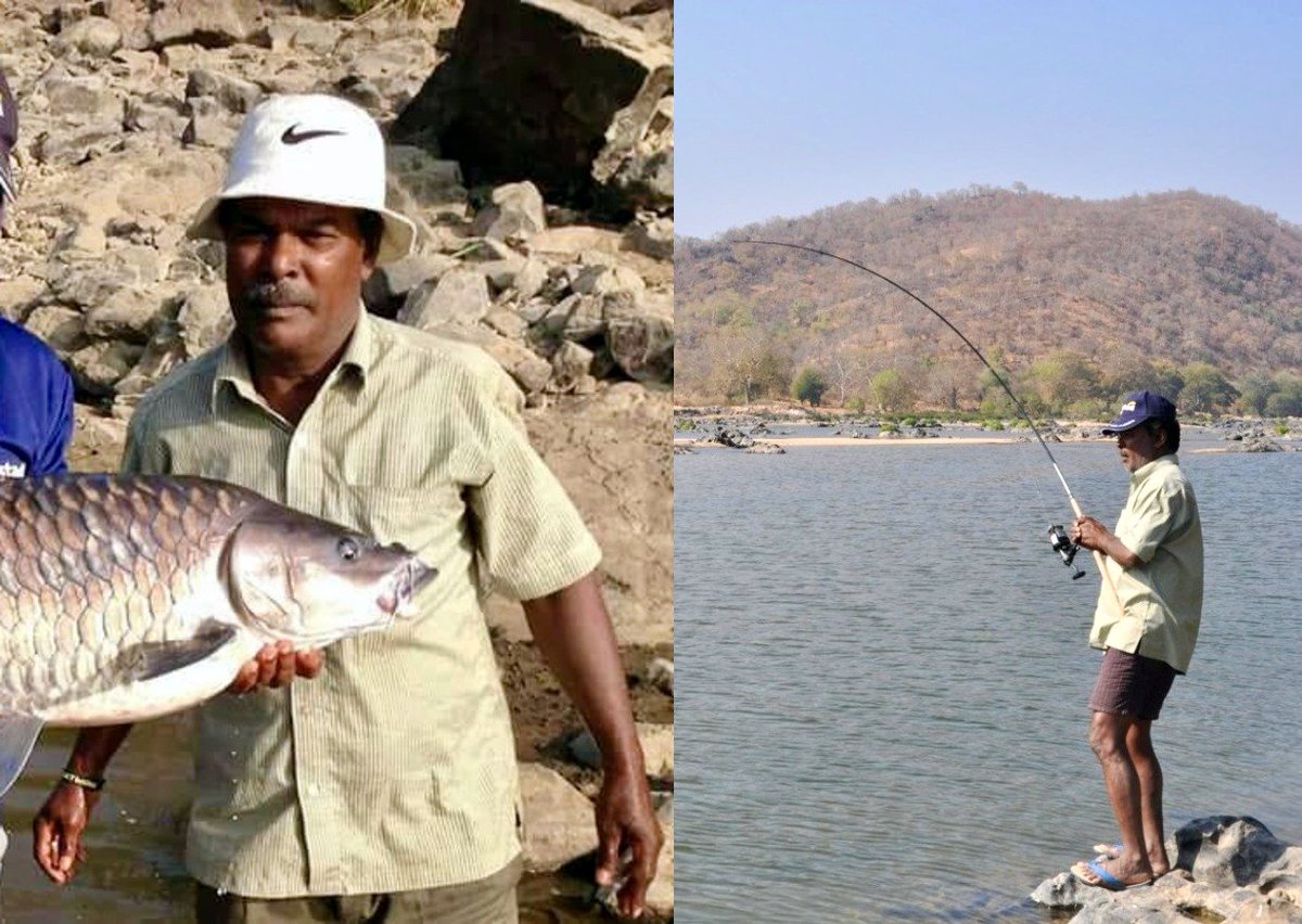 Wildlife Assn. of South India tweet media