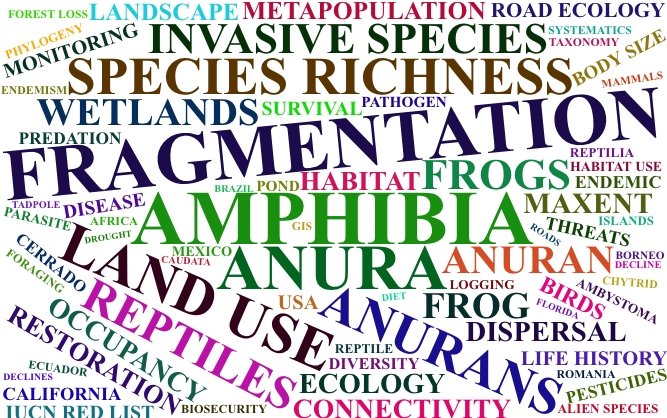 Maddison Howie tweet media