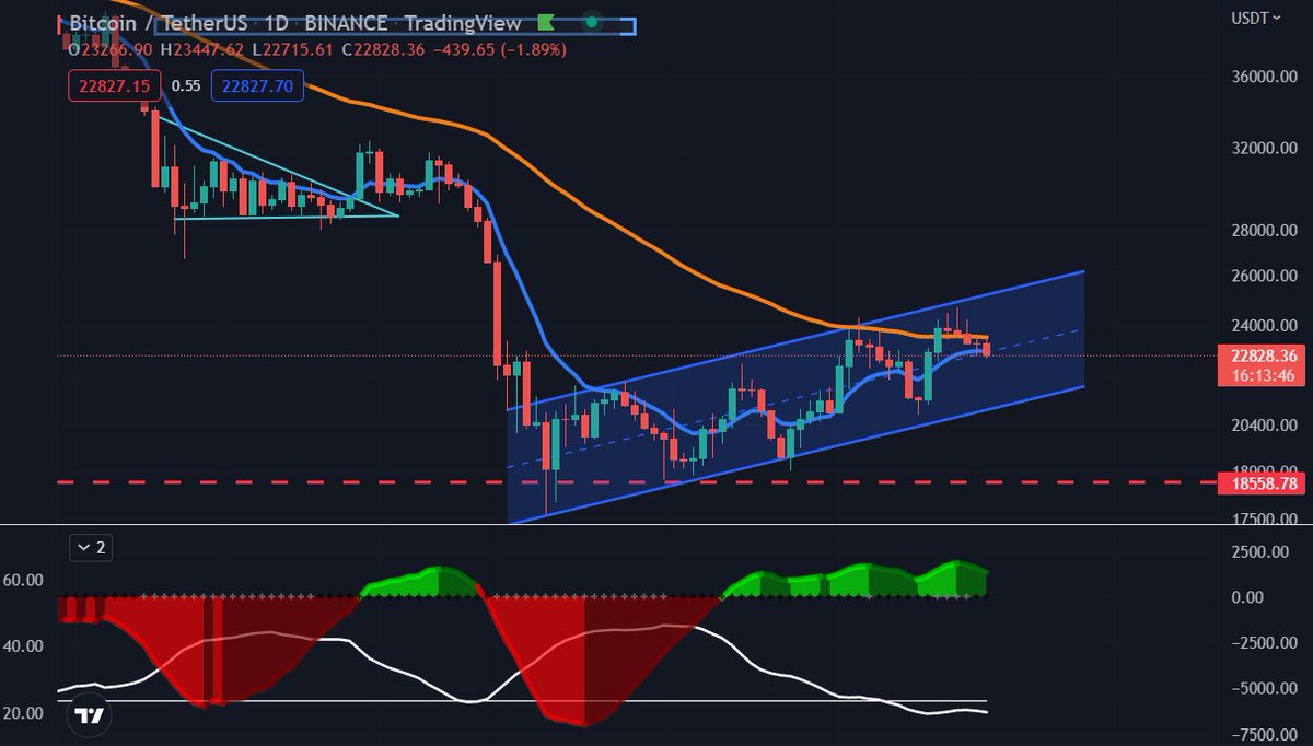 BossSquirrel tweet media