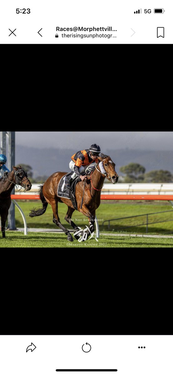 What a great season. Privileged to experience Melbourne and grow as a rider. looking forward to the new season back in Adelaide, massive thank you to @pinknickerton for helping me finish the season off strongly. From now on please contact my new manager Damien Wilton- 0419834917
