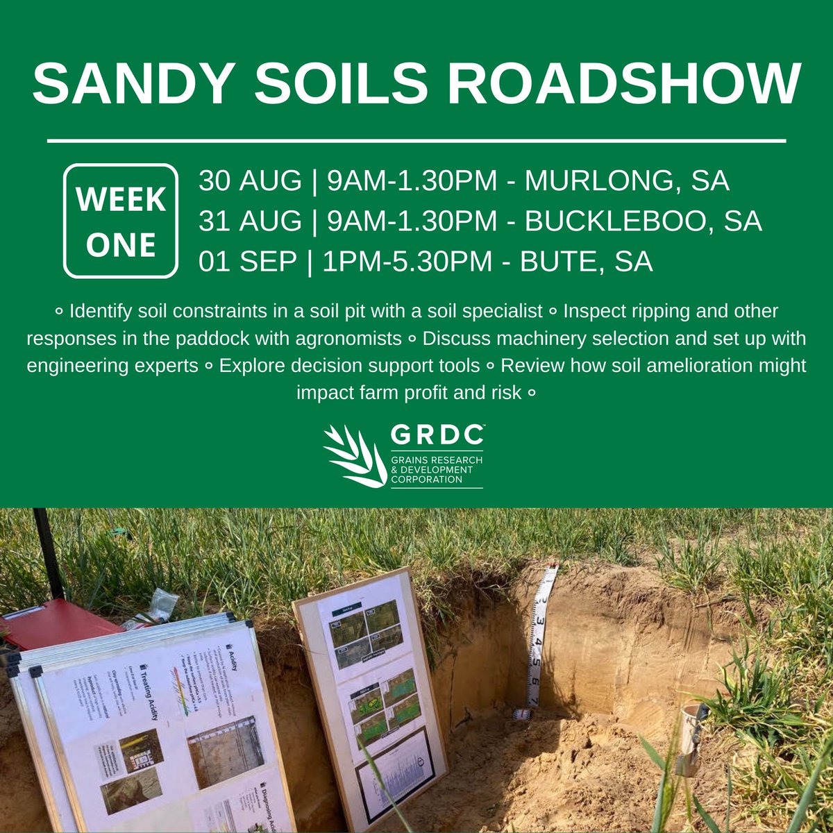 🟡GRDC SANDY SOILS MASTERCLASS🟡
30 AUG - MURLONG
31 AUG - BUCKLEBOO
More information and program coming soon
🟡Registration Link - bit.ly/3BAn69K🟡
@grdcsouth #EPAg <a href="/SA_PIRSA/">PIRSA</a>  <a href="/CSIRO/">CSIRO</a>  <a href="/PinionAdvisory/">Pinion Advisory</a> <a href="/UniversitySA/">UniSA (this account is no longer active)</a>