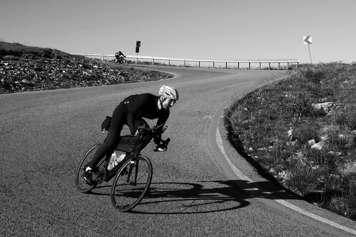 The Transcontinental tweet media