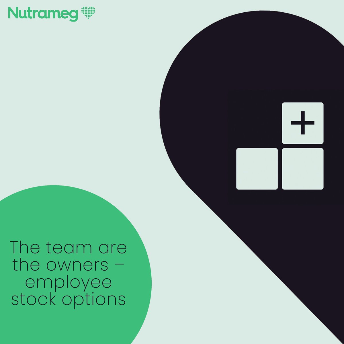 Nutrameg's tweet photo. Together we can help people live healthier and live longer! Join #healthtech jobs at Nutrameg and enjoy great employee benefits. For open positions, see https://t.co/3QsqMeHVfc! #wearehiring 

#nutrition #nutritioncoach #healthylifestyle #healthyliving #healthandwellness https://t.co/VxoSe7MQ9M
