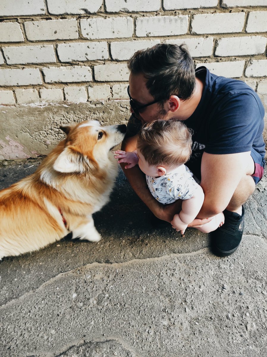 Adam_Goki's tweet image. Good morning ☀️