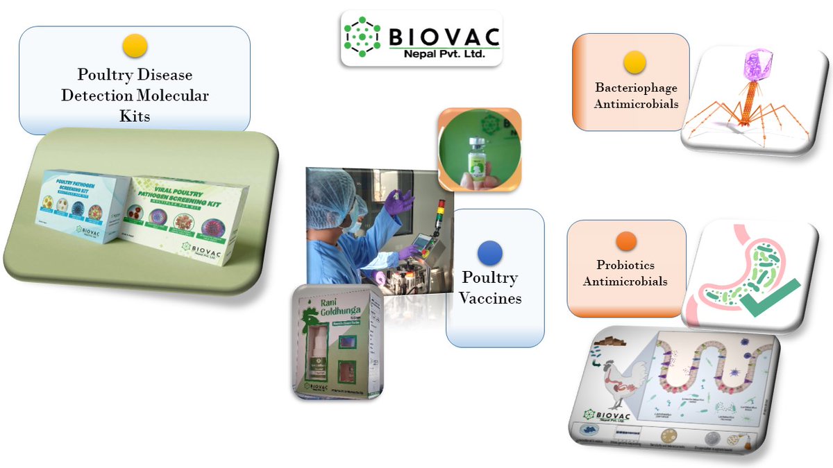 Innovative solutions for Poultry Health through better science #biovacnepal #poultryhealth #vaccines #moleculardiagnostics #bacteriaphage #probiotics #amr