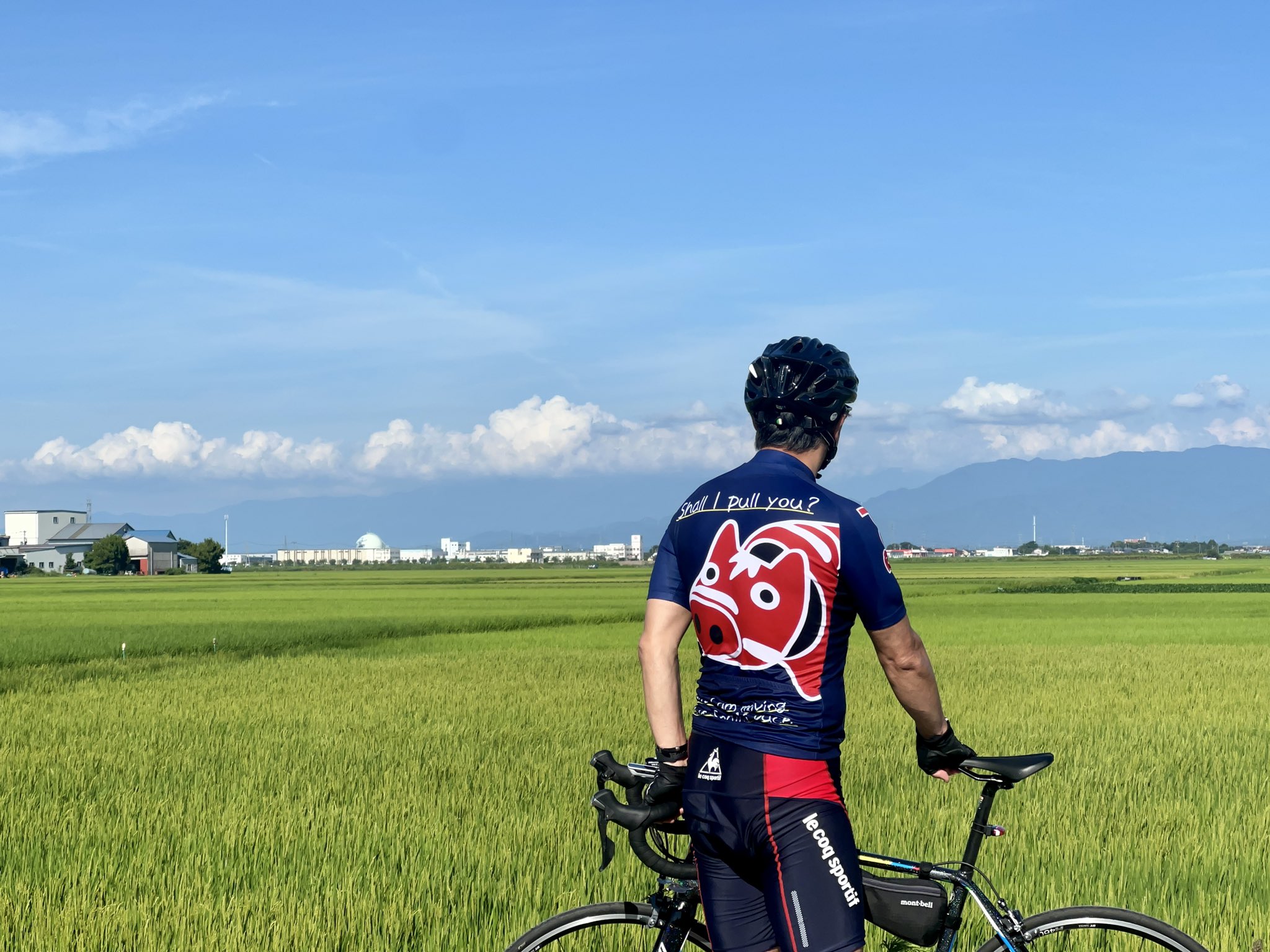 キナリ・ベージュ 赤べこジャージ RedBeco レッドブル サイクル