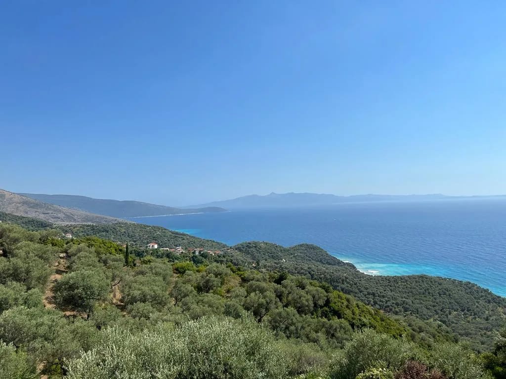 Lukova, with beautiful stretches of quiet beaches, and endless olive groves, arguably is one of the prettiest villages in Albania #realestate #mediterranean #mediterraneanlife #oliveoil