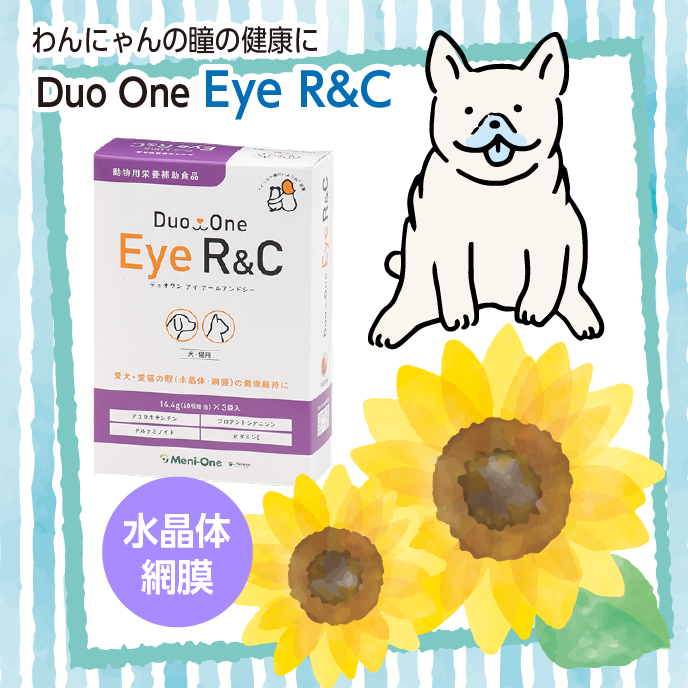 LovelyWankoTen's tweet photo. ペットの眼の健康をサポート!「Duo One R&C」は網膜と水晶体の健康維持をサポートするサプリです😊
#犬サプリ #猫サプリ #DuoOne #デュオワンアイアールアンドシー #網膜の健康維持
https://t.co/3EuSDoNfXi https://t.co/Zmw0HZ3drf