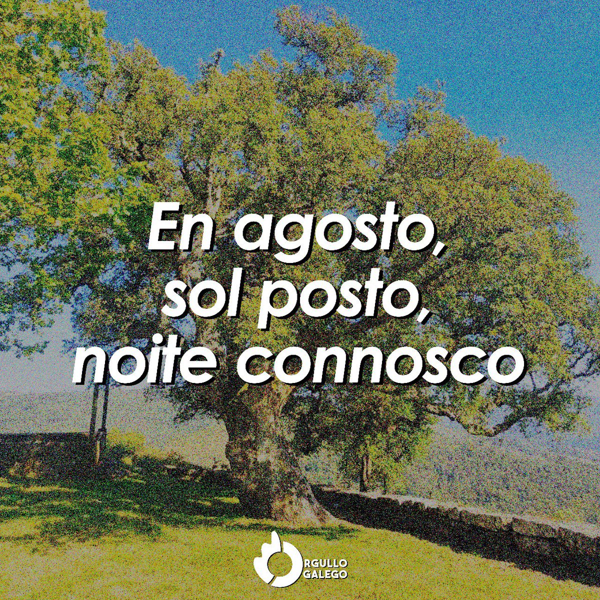 OrgulloGalegoGz's tweet photo. Uns poucos ditos para recibir ao mes de agosto. Cales outros coñeces? https://t.co/Qrknr5mVQc