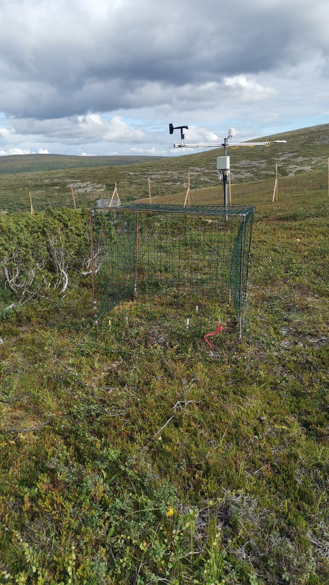 TimoKumpula1's tweet photo. Tiina Kolari leads a grazing experiment and the construction of fences in Niilanpää. @CharterArctic @TundrAsalad #Landmod project. @ElinaKaarlej @TeemuTahvanain https://t.co/VDDh5n2b4L