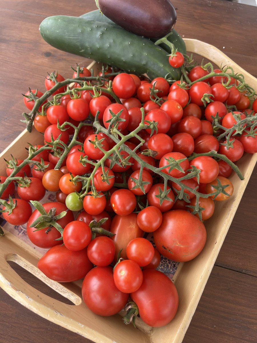 Paula Neves tweet media