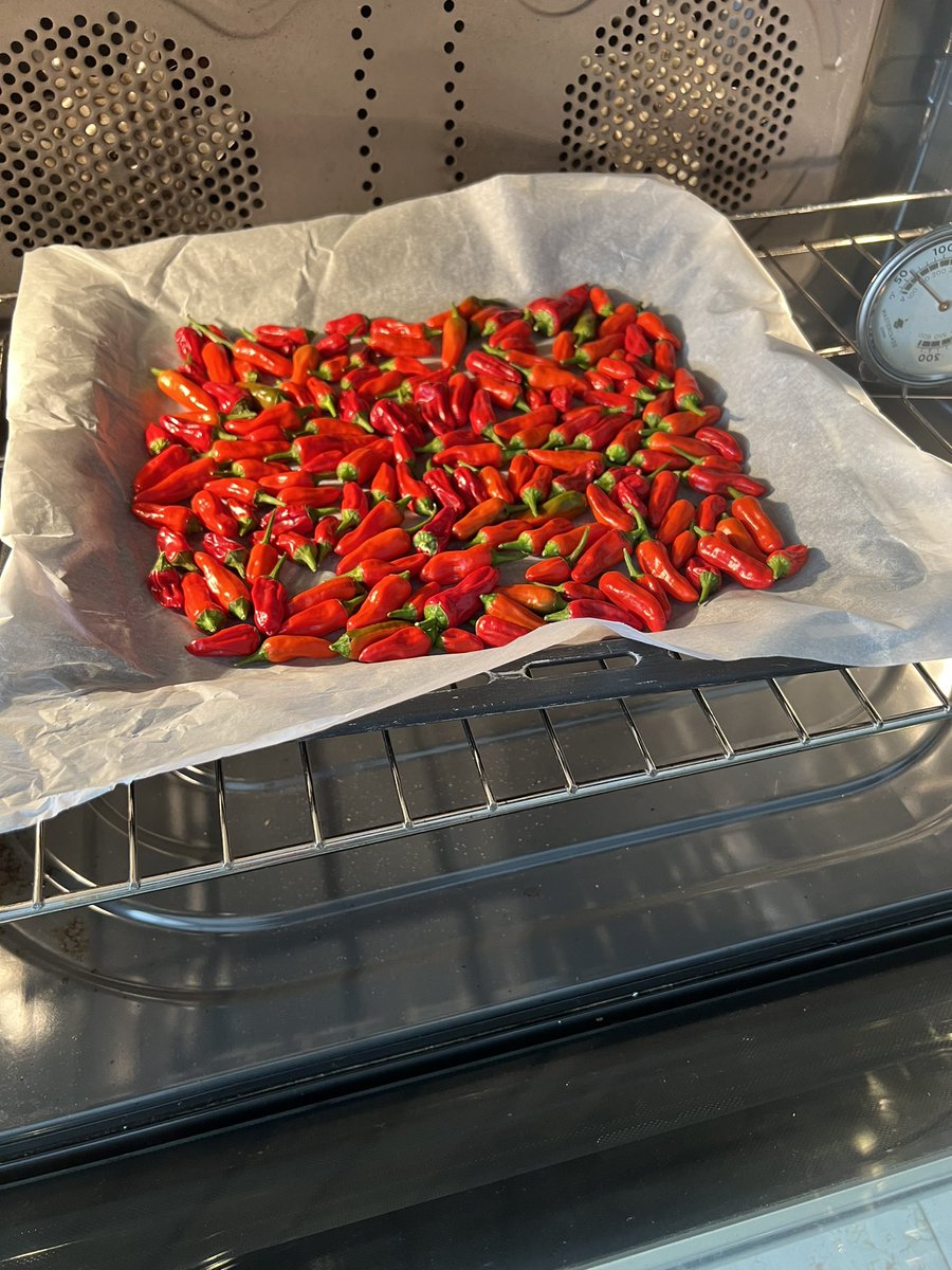 Paula Neves tweet media