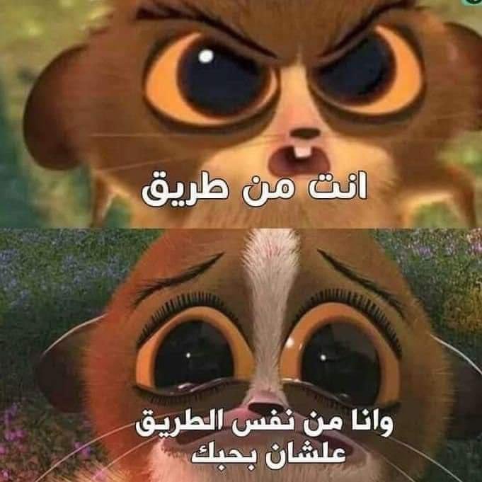 - لما ازعل من حد بحبه.