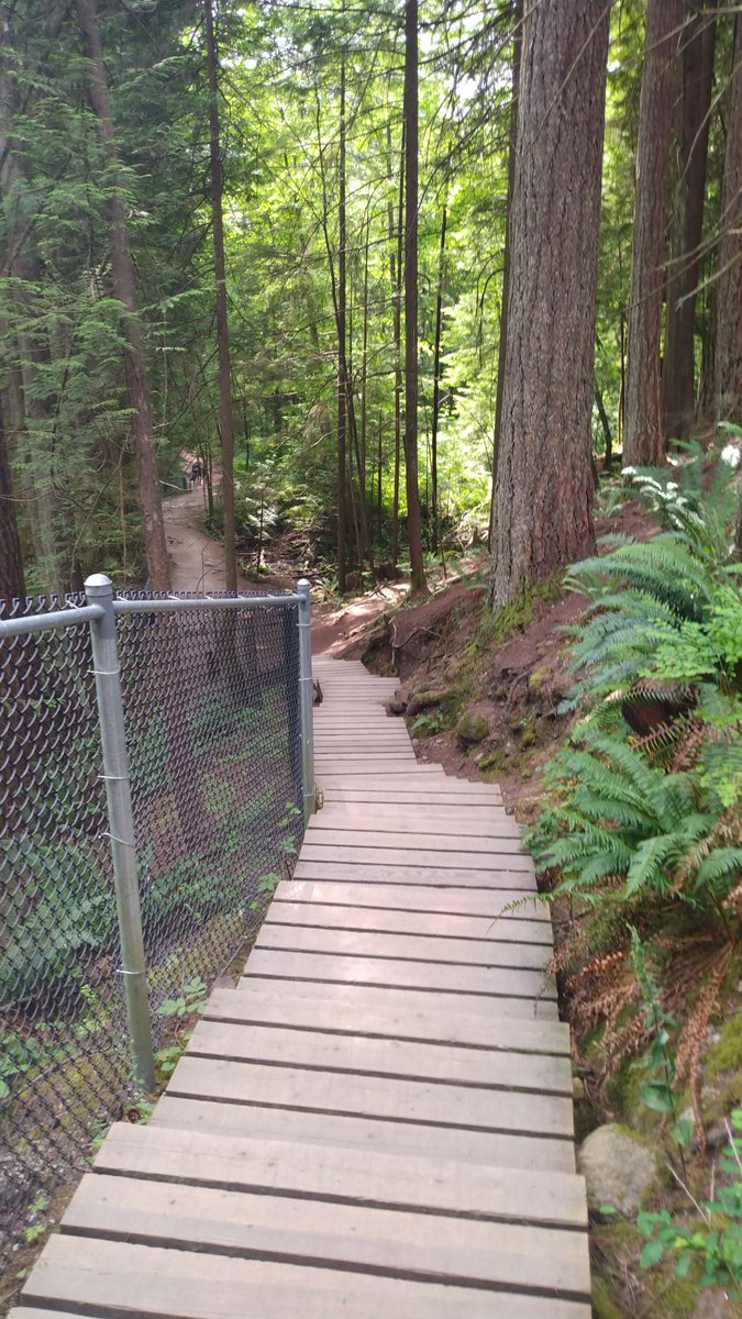 Elsa Chu tweet media