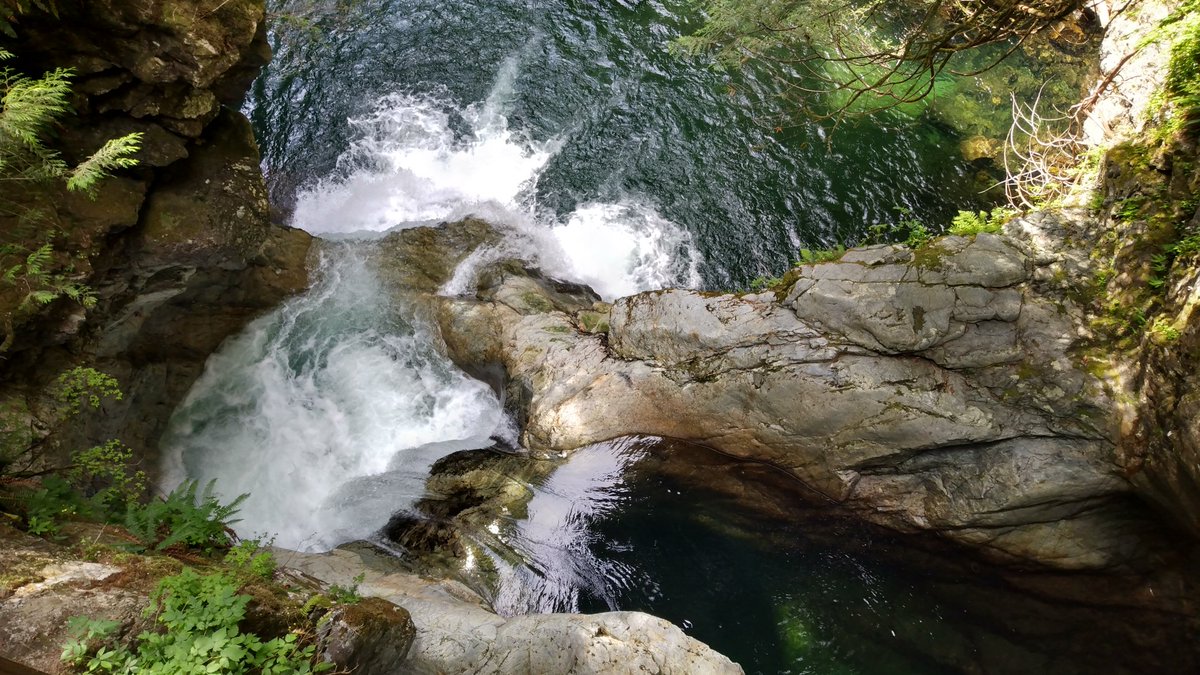 Elsa Chu tweet media