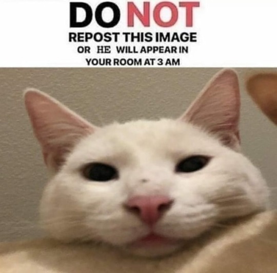 DON'T DO IT