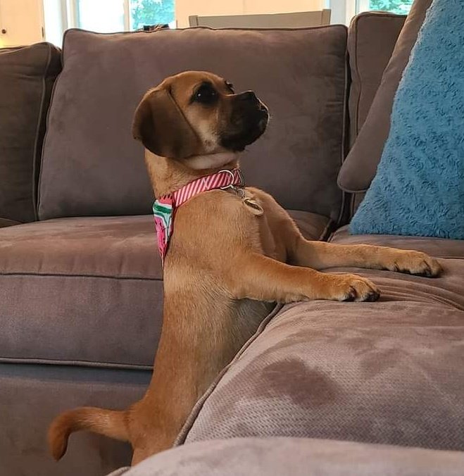 K.I.L.🔪 KEEP IT LUNATIC tweet media