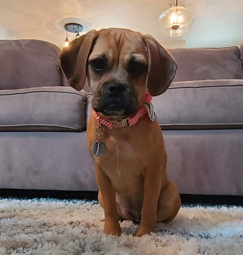 K.I.L.🔪 KEEP IT LUNATIC tweet media