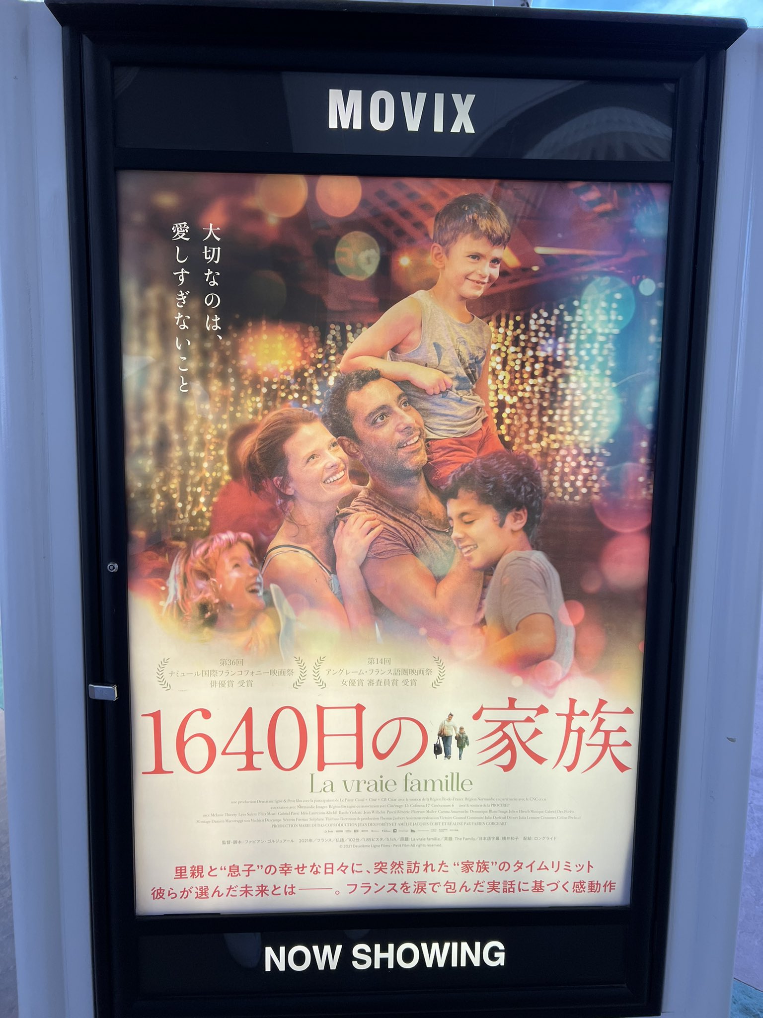 Cocooncity Twitter Search Twitter