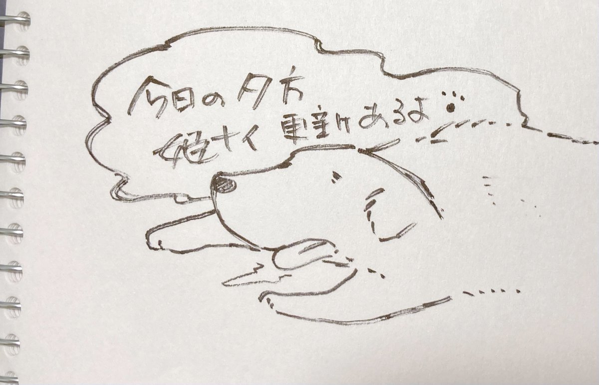 こんにちわん〜🐾 