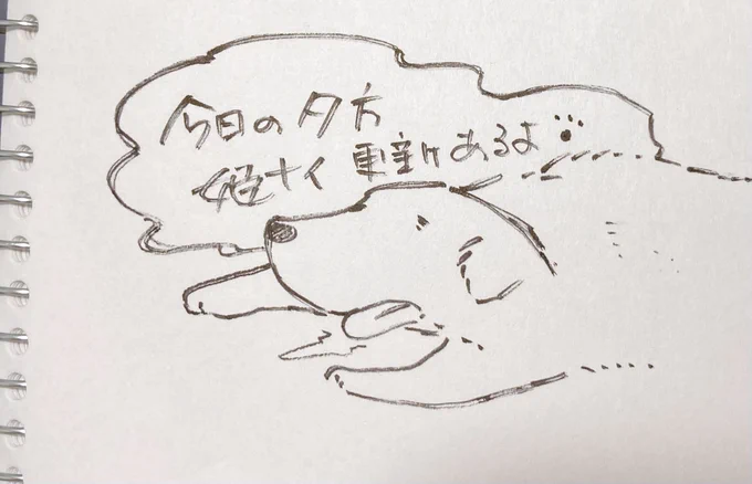 こんにちわん〜🐾 