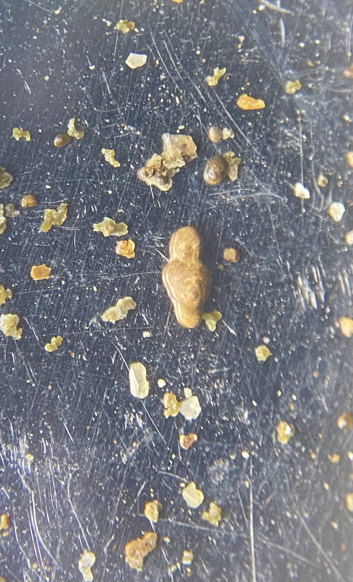 LeahLynham 🇬🇧🇦🇺 tweet media