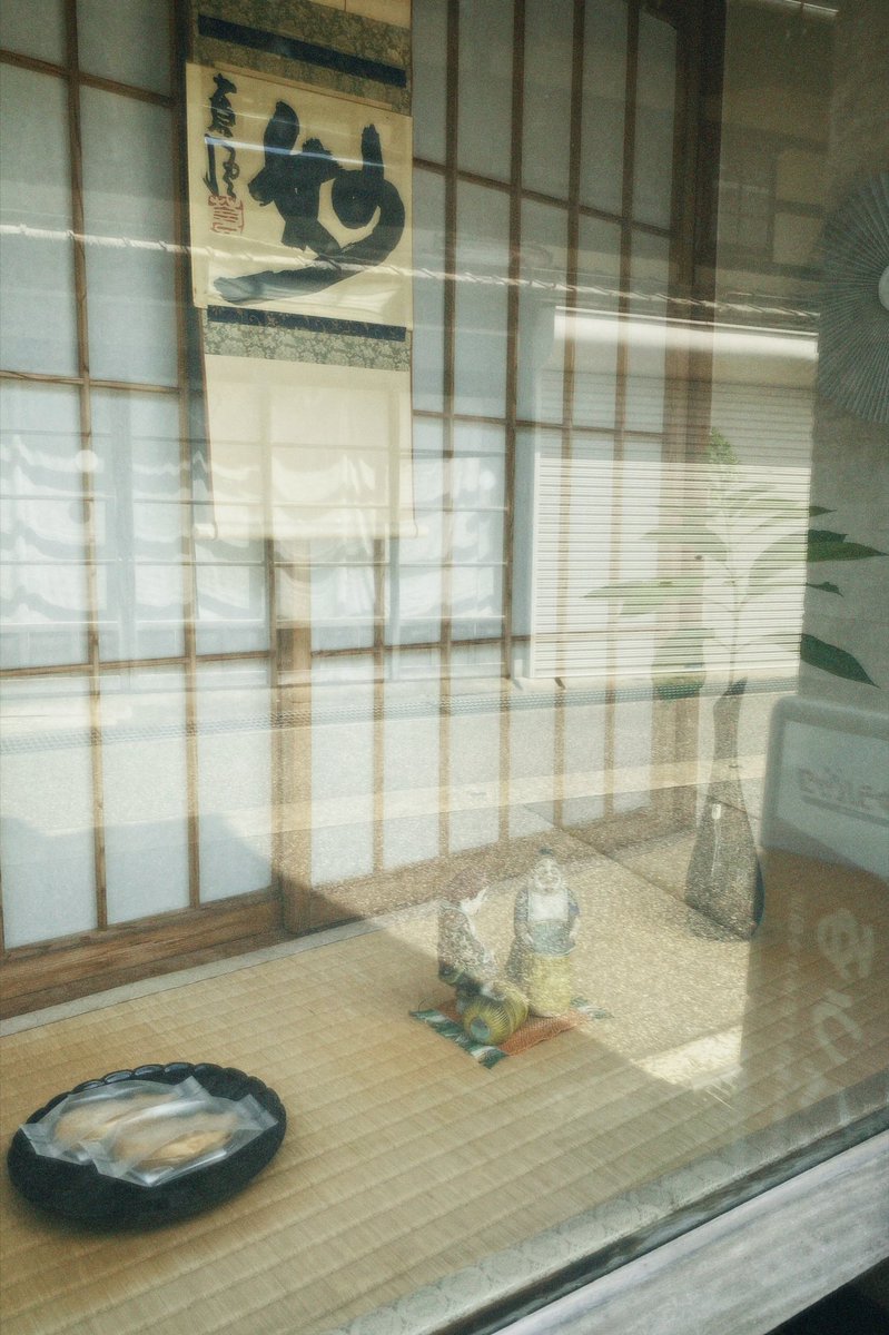 MisiiNmusic's tweet photo. hi from toyama ~⛰🌿✨
良い1日を!
#summerpost
#ミシエヌ
#photography https://t.co/11IO4qUQCH