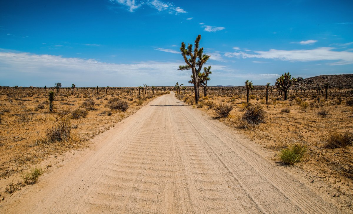 rootbeerphoto's tweet photo. I added a few more pictures to my @500px website - https://t.co/cmC5zLx4eI #shotbyjason #havejeepwilltravel #exploringamerica #joshuatree #slabcity #graffitirockgallery #slabcityart #getoutside #joshuatreenationalpark #500px #celebrateart https://t.co/vl5mYGaILP