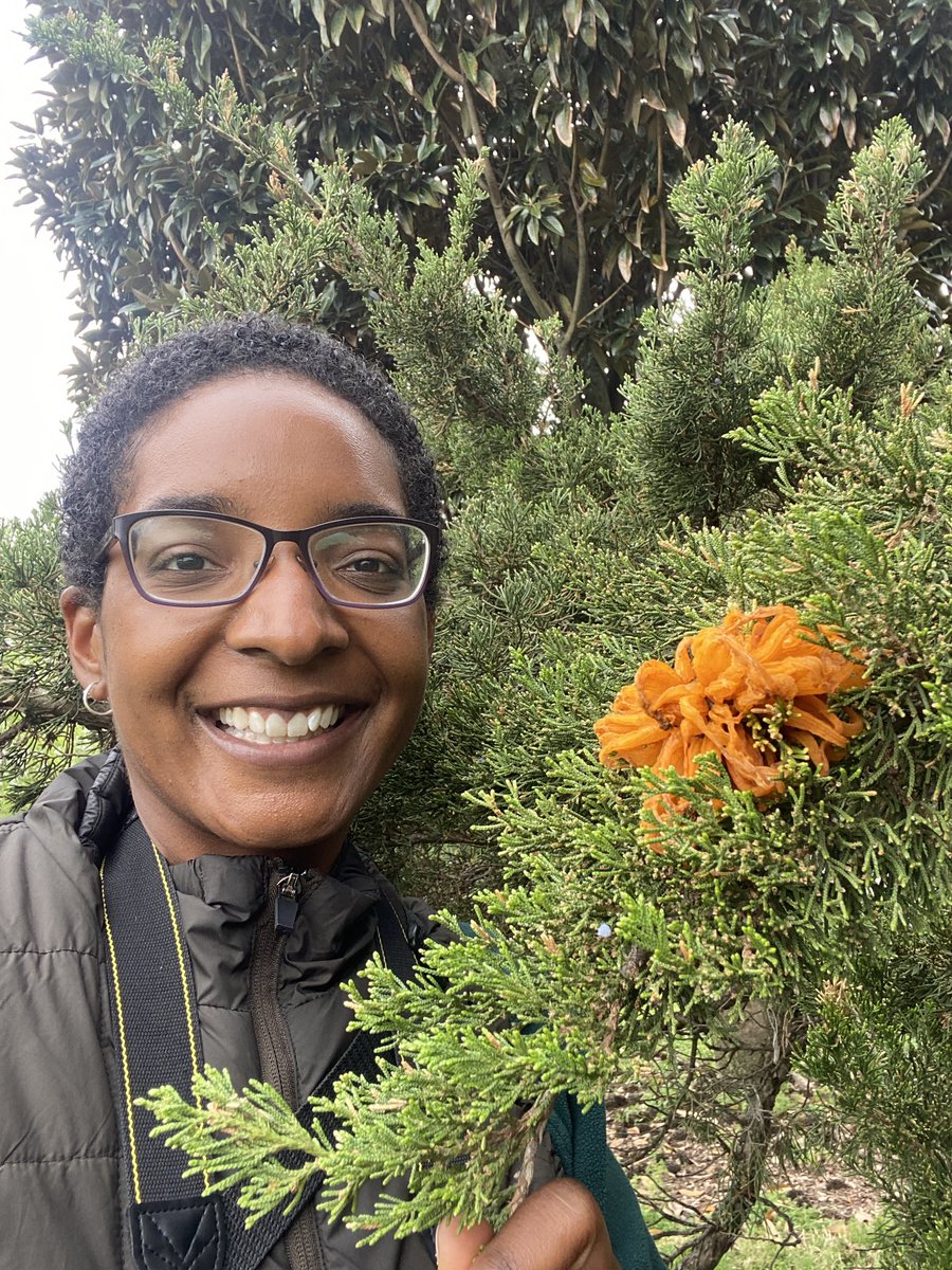 Daria M (@dare2bloom) on Twitter photo I’m Daria and so exited for another #BlackBotanistsWeek! I am a horticulturist at <a href="/mobotgarden/">MO Botanical Garden</a>, overseeing our Plant Doctor Services, Gardening Help website, beehives and I give talks to local groups about plants! #BlackBotanists #BlackBotanistsRollCall 
🌼🌿🍃🌺🌵🌳🌸 I’m Daria and so exited for another #BlackBotanistsWeek! I am a horticulturist at <a href="/mobotgarden/">MO Botanical Garden</a>, overseeing our Plant Doctor Services, Gardening Help website, beehives and I give talks to local groups about plants! #BlackBotanists #BlackBotanistsRollCall 
🌼🌿🍃🌺🌵🌳🌸
