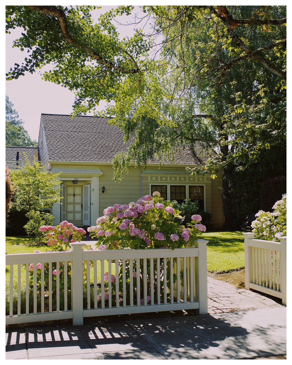jaredshohfi's tweet photo. A dreamy stroll through Santa Rosa 💐 #fujix100f https://t.co/JD9Nru8FRI