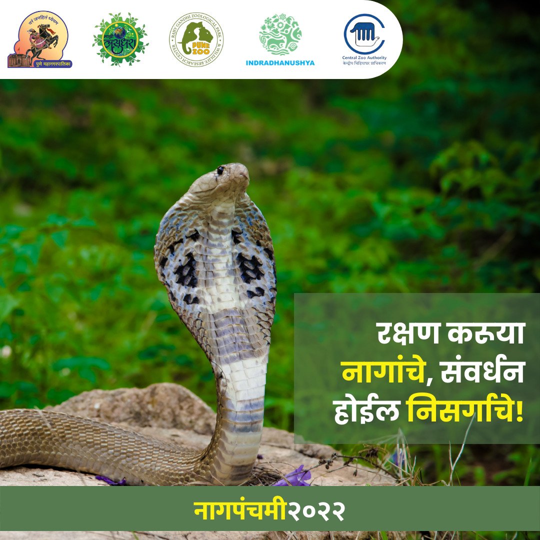 PMC Care tweet media