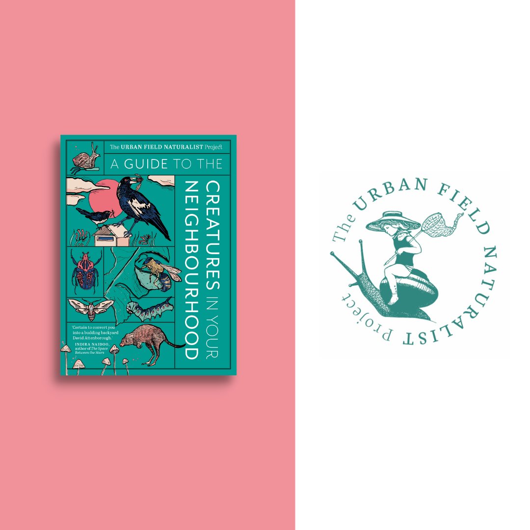 Murdoch Books (@murdochbooks) on Twitter photo Happy publication day!
🌱 Garden of Your Dreams by <a href="/charlesalbone/">Charlie Albone</a>
🥕 More Fish, More Veg by Tom Walton
🦋 A Guide to the Creatures in Your Neighbourhood by <a href="/UrbanFieldNats/">The Urban Field Naturalist Project</a>
#charliealbone #tomwalton #urbanfieldnaturalistproject Happy publication day!
🌱 Garden of Your Dreams by <a href="/charlesalbone/">Charlie Albone</a>
🥕 More Fish, More Veg by Tom Walton
🦋 A Guide to the Creatures in Your Neighbourhood by <a href="/UrbanFieldNats/">The Urban Field Naturalist Project</a>
#charliealbone #tomwalton #urbanfieldnaturalistproject