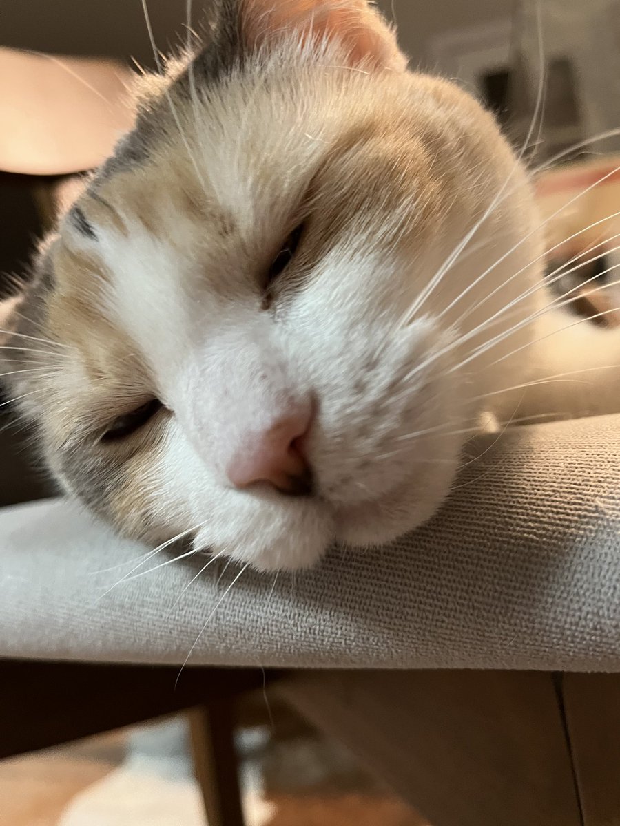 Good news guys, I’ve been sent content