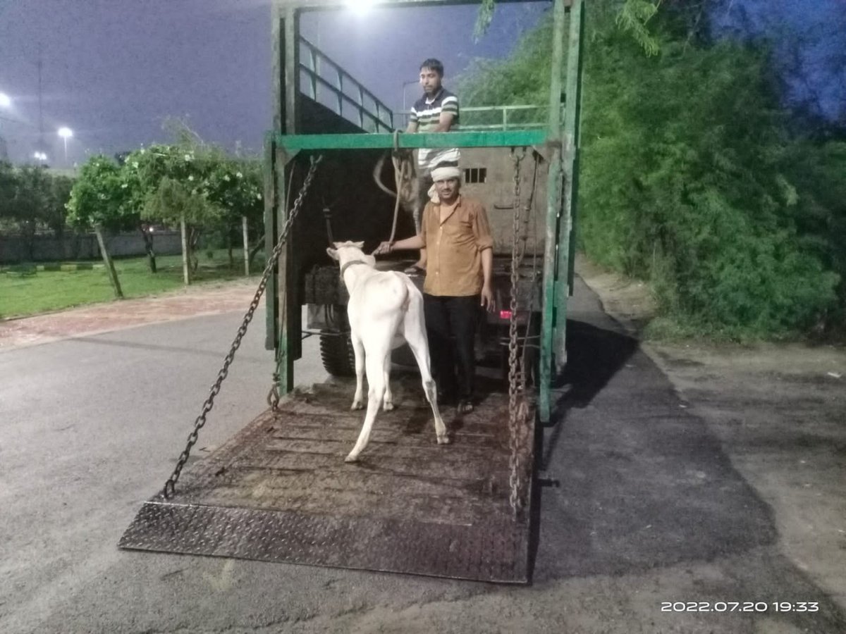 NOIDA Authority is dedicated towards giving you a safe, clean, and beautiful city. Apart from our other cleanliness projects, we also carry out anti-stray animal drives to keep you free from the menace of stray animals. <a href="/InfoDeptUP/">Information and Public Relations Department, UP</a>