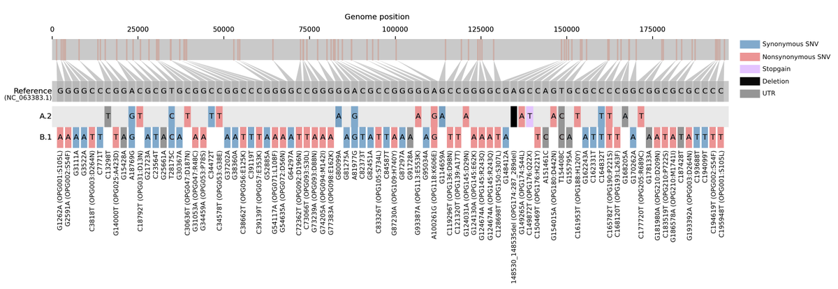 vinodscaria's tweet photo. 🔴Preprint on the A.2 cluster of #Monkeypox Genomes is now online.
@bani_jolly 
1⃣Lineage A.2 is distinctly different from the predominant lineage B.1 linked to the 2022 outbreak
2⃣Suggest an early &amp; cryptic spread of the virus across multiple geographies

https://t.co/cM367vlvSQ https://t.co/cFEGCR8Scj