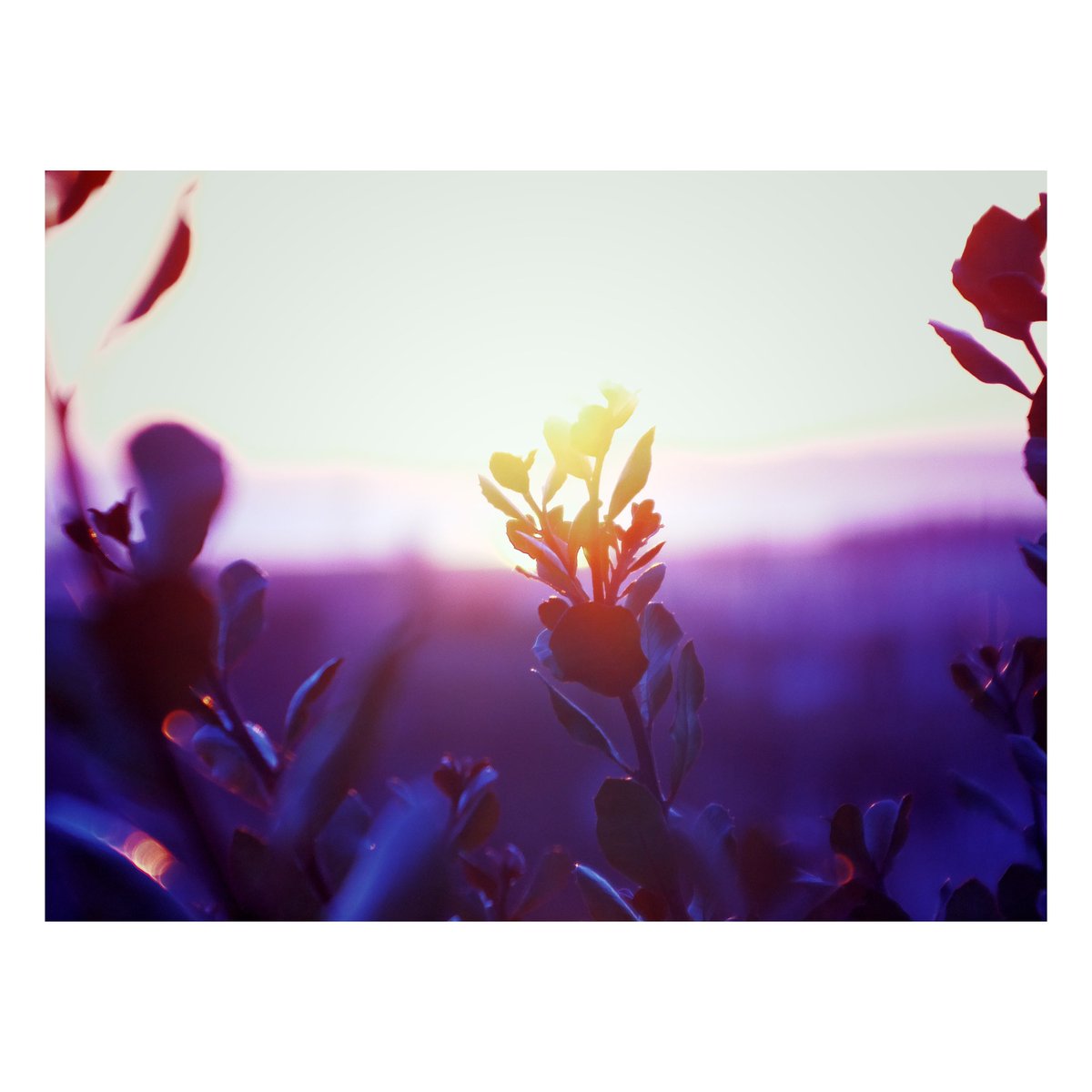 tdsepsilon's tweet photo. WOW can’t believe these came out of a @Raspberry_Pi powered diy camera! #piecacamera #leica #pieca #rpi https://t.co/tZ1OUt3Ttl