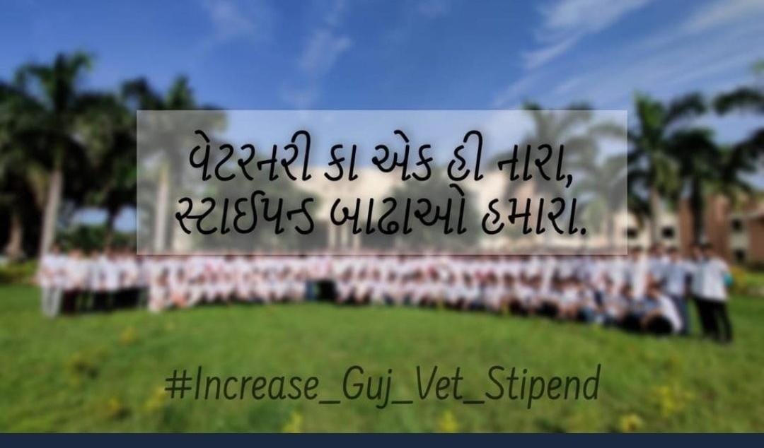 Today Dantiwada Veterinary College all year students on strike against 4200 internship stipend.We demand 18500₹
#Guj_veterinary_students_on_strike 
#Increase_Guj_Vet_Stipend 
#Standforvets
<a href="/Dr_jAA8/">Veterinary Doctors Union</a> 
<a href="/KanuDesai180/">Kanu Desai</a> 
<a href="/CMOGuj/">CMO Gujarat</a> 
<a href="/CRPaatil/">C R Paatil</a>  <a href="/RaghavjiPatel/">Raghavji Patel</a> <a href="/Divya_Bhaskar/">Divya Bhaskar</a> 
<a href="/sandeshnews/">Sandesh</a>