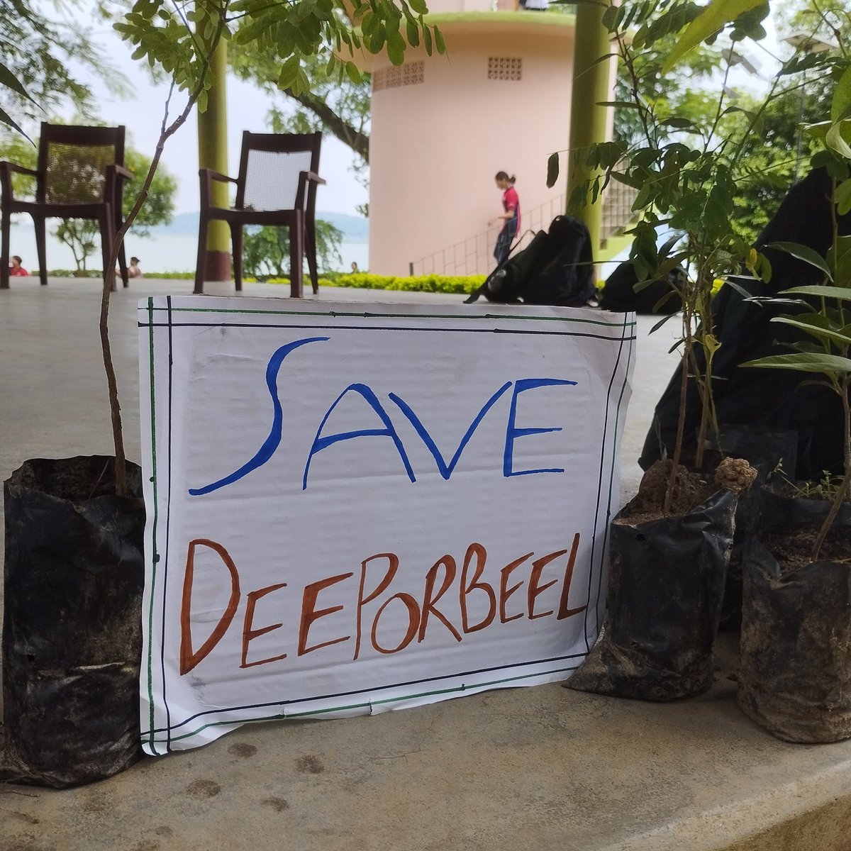 Pramod kalita tweet media