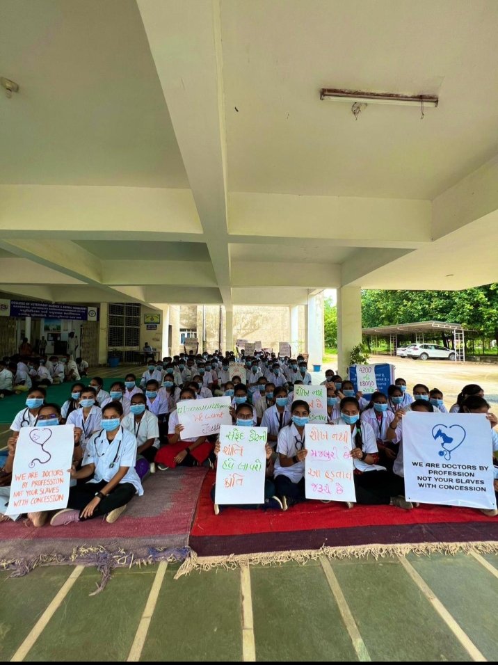 Today Dantiwada Veterinary College all year students on strike against 4200 internship stipend.We demand 18500₹
#Guj_veterinary_students_on_strike 
#Increase_Guj_Vet_Stipend 
#Standforvets
<a href="/Dr_jAA8/">Veterinary Doctors Union</a> 
<a href="/KanuDesai180/">Kanu Desai</a> 
<a href="/CMOGuj/">CMO Gujarat</a> 
<a href="/CRPaatil/">C R Paatil</a>  <a href="/RaghavjiPatel/">Raghavji Patel</a> <a href="/Divya_Bhaskar/">Divya Bhaskar</a> 
<a href="/sandeshnews/">Sandesh</a>