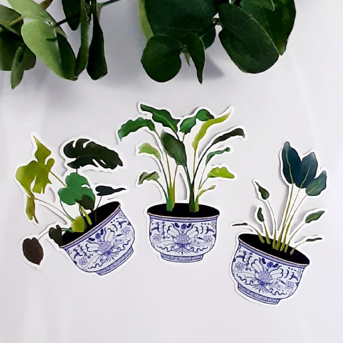 woorinaraetsy's tweet photo. Excited to share the latest addition to my #etsy shop: plant on porcelain flowerpot, weatherproof sticker, plant stickers https://t.co/C7b1unifiZ #cardmakingstationery #diecutsticker #handmade #stickers #plant #plantsticker #spring #oriental #pot https://t.co/gQsWzm0aHH