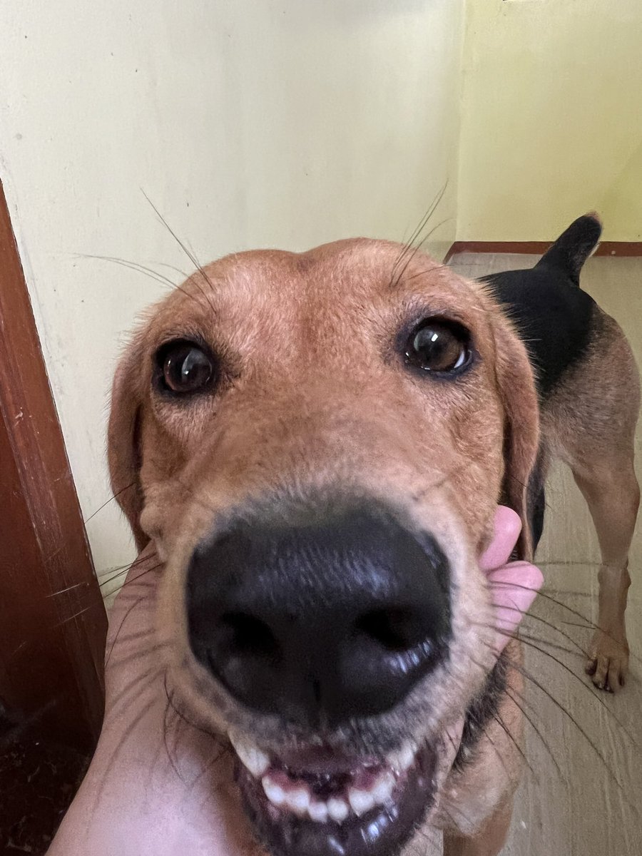 fatzu3's tweet photo. Boop https://t.co/rOAvYAnulF