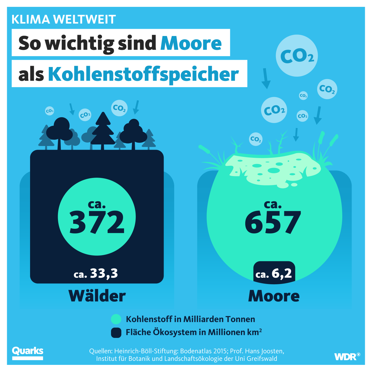 Moore  machen nicht viel Fläche aus – und trotzdem speichern sie fast doppelt so viel Kohlenstoff wie alle Wälder zusammen.