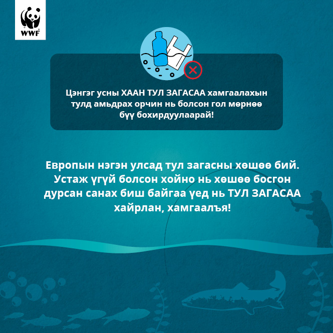 WWFMongolia's tweet photo. Цэнгэг усны хаан тултай танилцаарай. https://t.co/TootzttUax