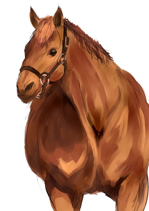 息抜きになりました(*'ω`*) 