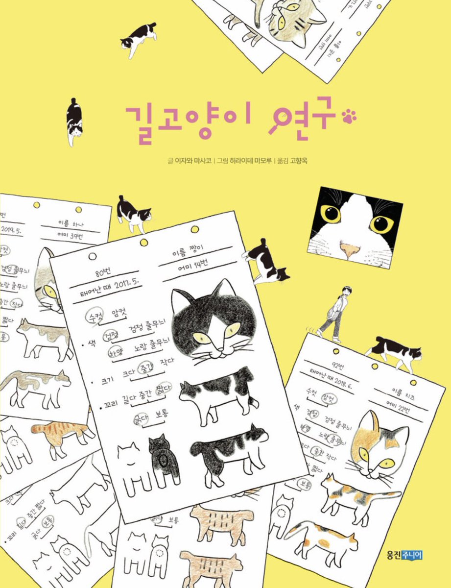 gomgombookstore's tweet photo. <도둑고양이 연구>가 절판되더니 <길고양이 연구>로 다시 나왔네요. 제목은 더 좋고 표지는 예전 것이 더 좋군요. 내가 사랑하는 책 ❤️ https://t.co/0NEtAzzdjs