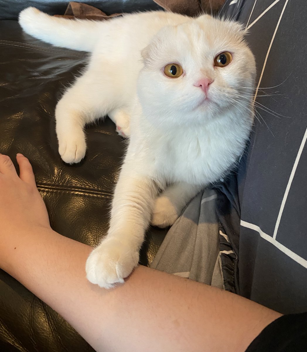 เมื่อไหร่พ่อจะบอกความจริงว่าผมเปนลูกเศรษฐี