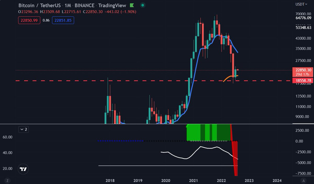 BossSquirrel tweet media