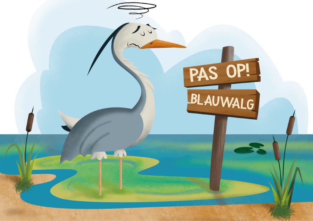 Opgelet! Door droogte en warmte werden er al op verschillende plaatsen blauwalgen vastgesteld. Wanneer die schadelijk zijn voor mens&amp;dier, stelt de stad/gemeente of waterbeheerder een recreatie- en/of onttrekkingsverbod in. Een overzicht daarvan, vind je  vmm.be/water/kwalitei…