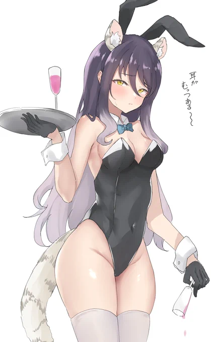 バニーの日! 
