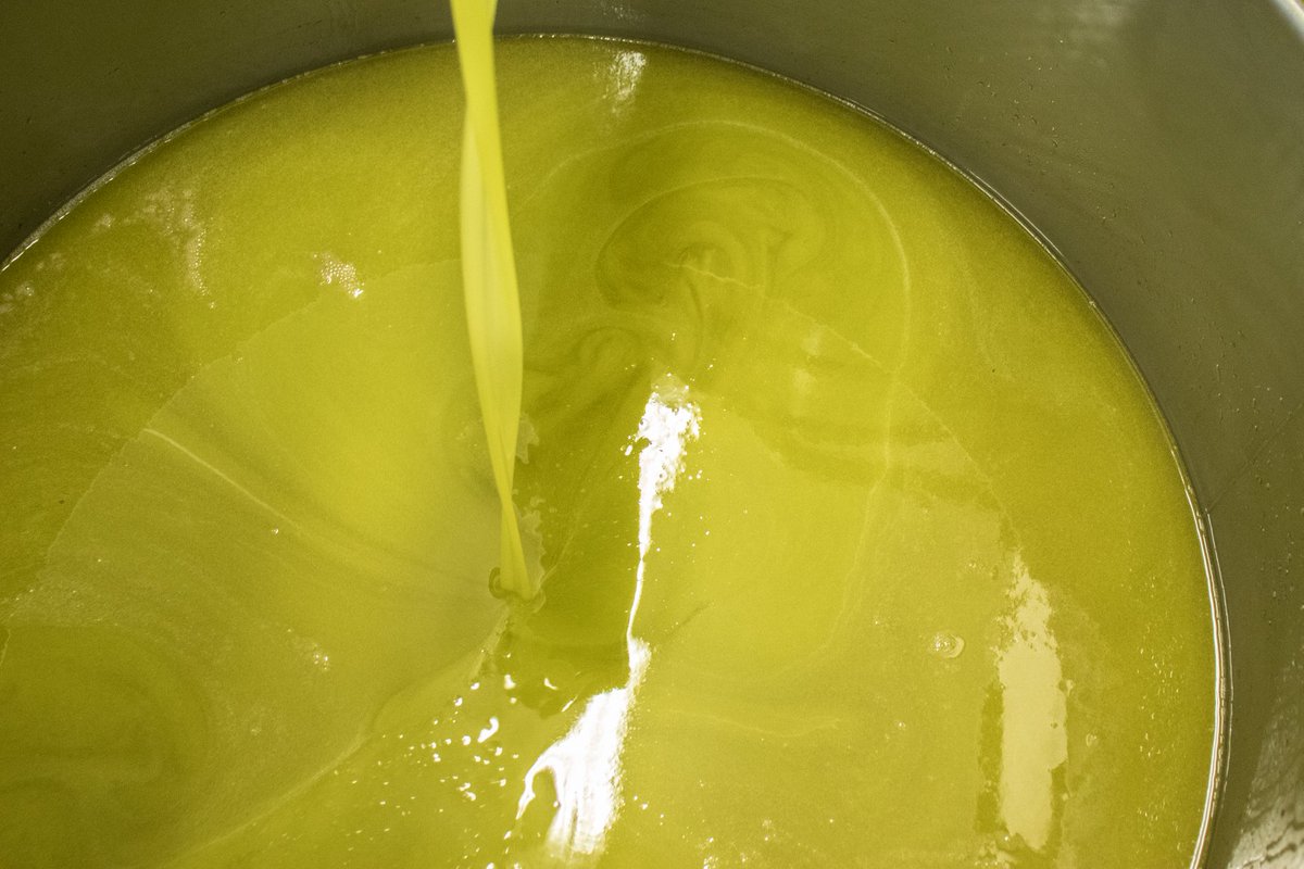OakhurstOlives's tweet photo. It’s always an unexpected joy when something so incredibly delicious turns out to be so incredibly good for you - and if you haven’t learned that about olive oil yet, you’re about to! 🙂
https://t.co/G47n3Rbigs
#EVOO #oliveoil #OakhurstOlives #benefitsofoliveoil #science #foodie https://t.co/ECqk1Psq0D
